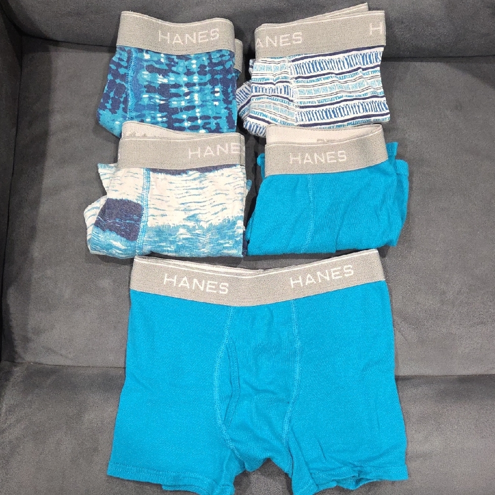 Hanes Assorted Blue Boxer Briefs Medium